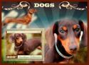 Dogs Dachshund