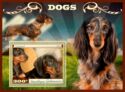 Dogs Dachshund