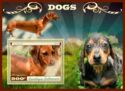 Dogs Dachshund