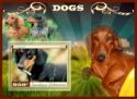 Dogs Dachshund
