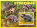 Hedgehogs
