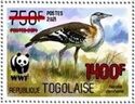 Denham's Bustard (Neotis denhami) - Red Overprint