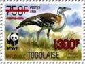 Denham's Bustard (Neotis denhami) - Red Overprint
