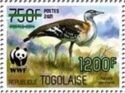 Denham's Bustard (Neotis denhami) - Green Overprint
