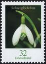 Snowdrop