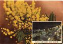 Souvenir de Nice