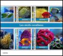 Fauna of Coral Reefs