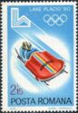 Two-man Bobsled