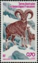 Mouflon (Ovis orientalis)