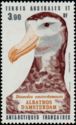 Amsterdam Albatross (Diomedea amsterdamensis)