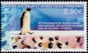 Emperor Penguin (Aptenodytes forsteri)