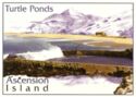 Ascension - Turtle Ponds