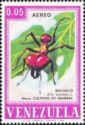 Leafcutter Ant (Atta sexdens)