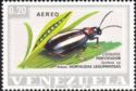 Flea Beetle (Systena sp.)