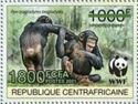 Central Chimpanzee (Pan troglodytes troglodytes) Green Ovpt.