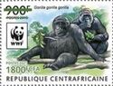 Western Lowland Gorilla (Gorilla gorilla gorilla) Green Ovpt