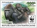 Western Lowland Gorilla (Gorilla gorilla gorilla) Green Ovpt