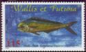 Common Dolphinfish (Coryphaena hippurus)