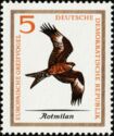 Red Kite (Milvus milvus)