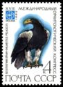Steller's Sea-eagle (Haliaeetus pelagicus)