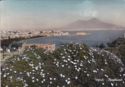 Napoli Panorama