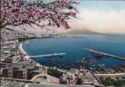 Napoli Panorama