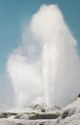 Pohutu Geyser 1