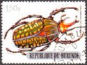 Giant African Fruit Beetle (Chelorrhina polyphemus)