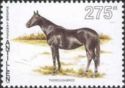 Thoroughbred (Equus ferus caballus)