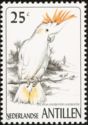 Major Mitchell Cockatoo (Cacatua leadbeateri) (see Descripti