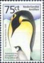 King Penguin (Aptenodytes patagonicus)