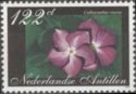 Catharanthus roseus