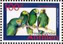 Yellow-shouldered Parrot (Amazona barbadensis)