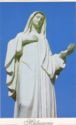 The Madonna of Medjugorje