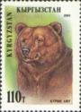 Brown Bear (Ursus arctos)