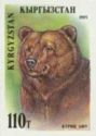 Brown Bear (Ursus arctos)