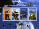100th Year of Turkish Air Force (Block2)