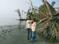 收藏者头像 ： Mohammad-Iqbal