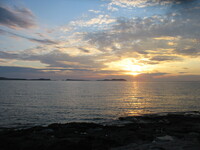 Collector profile picture : Pilar Gomez [pigopo]