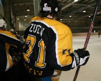 收藏者头像 ： ： Oleksandr Zuiev [axelwolf]