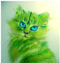 slika profila zbiratelja : Eugen Mashtaler [GreenCat]