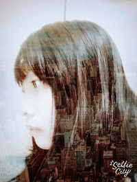 收藏者头像 ： ： summertime