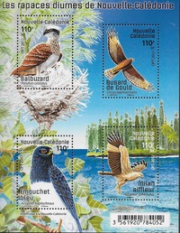 Collector profile picture : Chiara Wolf [chiwo]