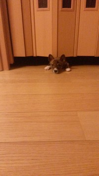 收藏者头像 ： ： jonev