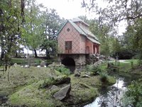 Collector profile picture : Manfred Hartmann [Oranienbaum]