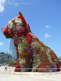 收藏者头像 ： ： Ismael MuÑoz [ISCAR]