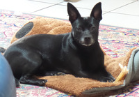 收藏者头像 ： ： Enrico Poli [brilly07]