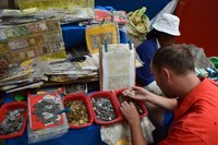 收藏者头像 ： ： Иван Ерахов [Erakhov]