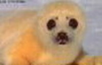 Collector profile picture : Dieter Seidel [jrds26]