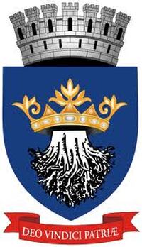 收藏者头像 ： ： Tronaru Sergiu [tachini11]